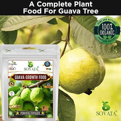 Sovata® Guava Growth Food, Powerful Organic Fertilizer for Fast Growth and Heavy Fruiting of Guava Plants. (200 gm)
