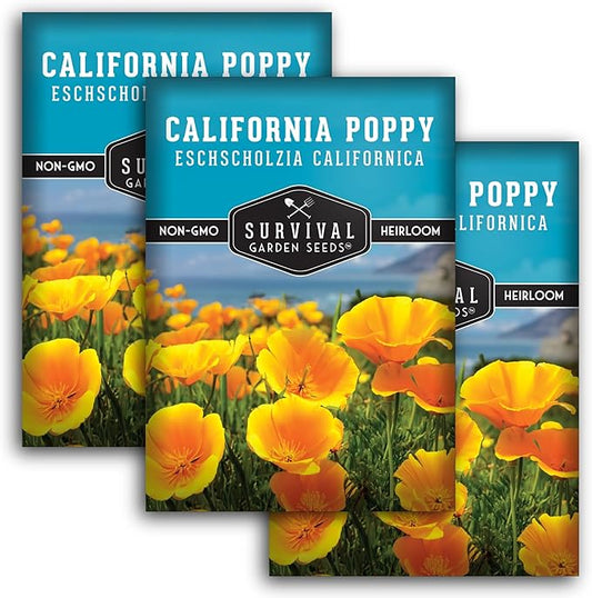 Survival Garden Seeds - California Poppy Seeds for Planting - 3 Packets with Instructions to Grow Eschscholzia Californica Plants in Your Home Flower Garden - Non-GMO Heirloom Wildflower Variety