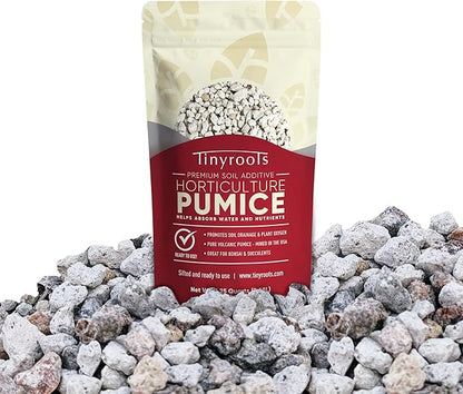 Tinyroots Horticultural Pumice for Plants - Bonsai Outlet Soil Additive for Succulents, Cactus, Bonsai & Other Plants - 100% Pure Volcanic Rocks, 1/4 inch Soil Additive, 2.25 Quarts
