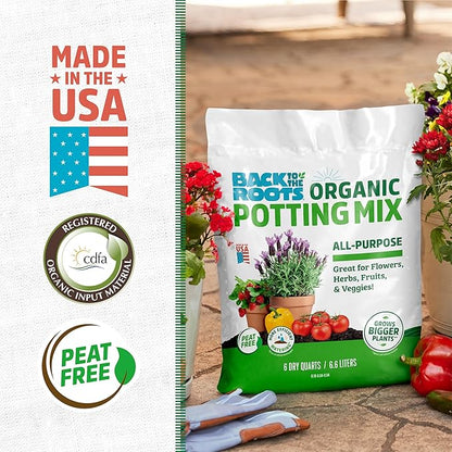 Back to The Roots 100% Organic Potting Mix (6 Quart) Premium Blend Made in The USA