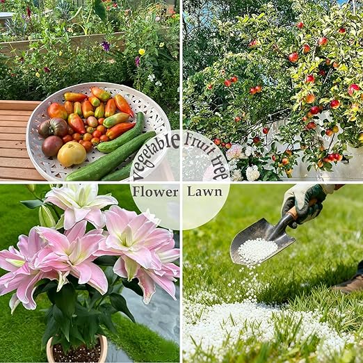 2LB Calcium Nitrate Fertilizer, 15-0-0 Nitrogen Fertilizer with Calcium, Indoor Plant Fertilizer, Plant Food for Houseplants, Lawn, Vegetable, Trees, Boost Stem & Leaf Growth, Improves Root Health