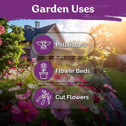 KVITER 3000 Mix Sensation Cosmos Seeds (Cosmos Bipinnatus) – Tall Cosmo Mix in Seed Packets, Butterfly Favorite, Non GMO Seed – Annual Flower Seeds for Outside, Outdoor Flower Garden, Ideal Cut Flower