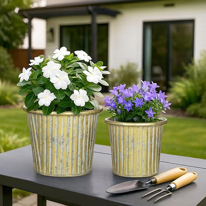 Gold Metal Rustic Flower Pots - 3 PCS Galvanized Planters Rustproof Durable Metal Buckets Plant Pots Vintage-Inspired Charm Rustic for Farmhouse Garden Herb Indoor Outdoor Decor(Dia.5.5"/6.5"/7.1")