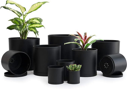 D'vine Dev 10 Pack Plastic Plant Pots for Plants, 6.5/6/5.5/5/4.5/4/3.5/3/2.5/2 Inch Indoor Planters Cylindrical Succulent Pot with Drainage Hole and Saucer, Black, 74-S-B