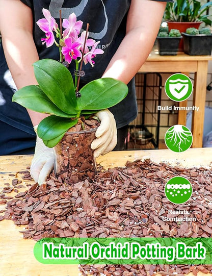 TOYPOPOR Orchid Potting Mix, (6 Quarts)Orchid Bark With Perlite, Potting Soil Medium for Plant Indoor, Pine Bark Wood Chips for Houseplant Fast Drainage, Water Retention, Air Flow and Root Ventilation
