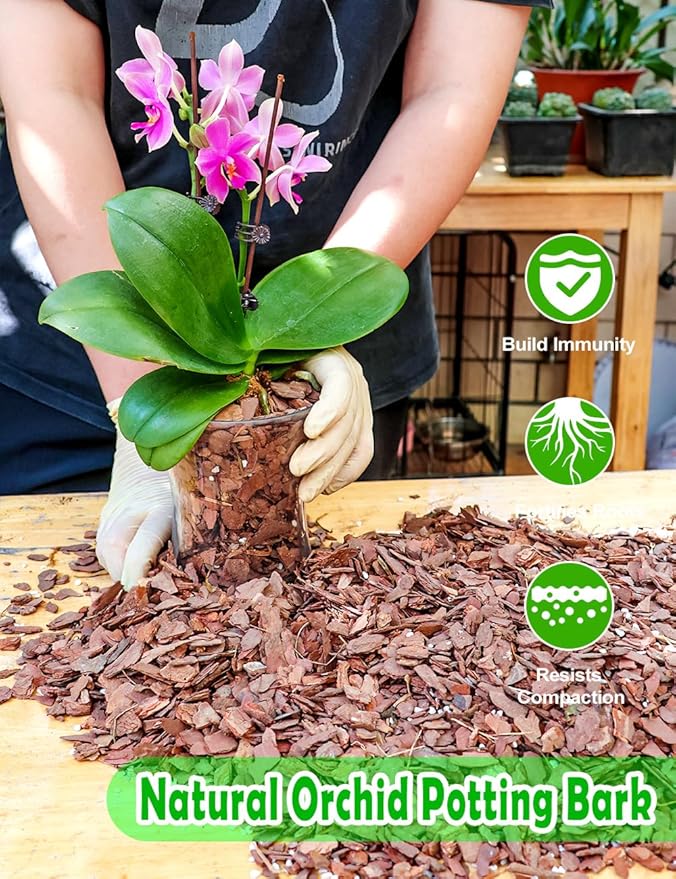 TOYPOPOR Orchid Potting Mix, Orchid Bark with Perlite, Potting Soil Medium for Plants Indoor, Pine Bark Wood Chips for Houseplant Fast Drainage, Water Retention, Air Flow and Root Ventilation 1 Quart