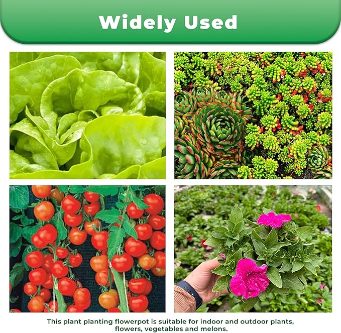 Plant Pots Flower Pot 10-Pack 5 Gallon Short Planter Nursery Pot Garden Seedling Planters Containers Plastic Injection Molded Pots with Drainage Holes for Outdoor Indoor Plants Vegetables, Black
