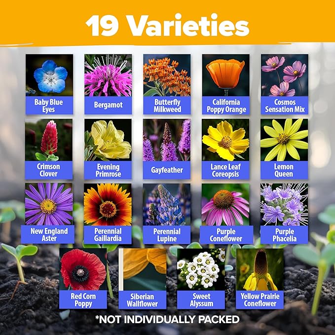 HOME GROWN Premium Wildflower Seeds Bulk Mix (2oz) - 59,300+ Seeds with 19 Varieties for Pollinators - Wild Flower Seed for Bees, Butterflies - Perennial & Annual Throw and Grow Seed Mix