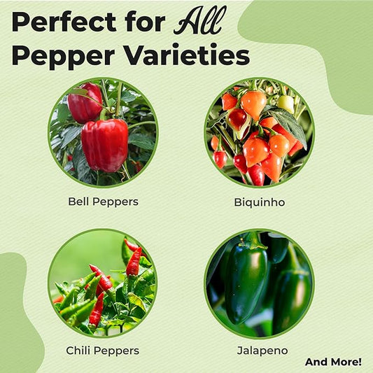 Pepper Leaf Spray Fertilizer by Perfect Plants | Premium Food Blend for Gardening Peppers | Harvest Delicious Peppers from Your Vegetable Garden (8 fl oz)