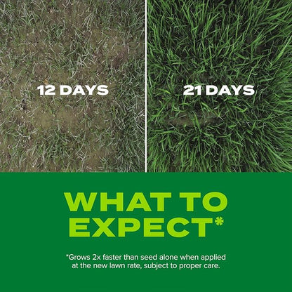 Scotts Turf Builder Rapid Grass Sun and Shade Mix, Combination Grass Seed and Fertilizer, Grows Green Grass in Just Weeks, 5.6 lbs.