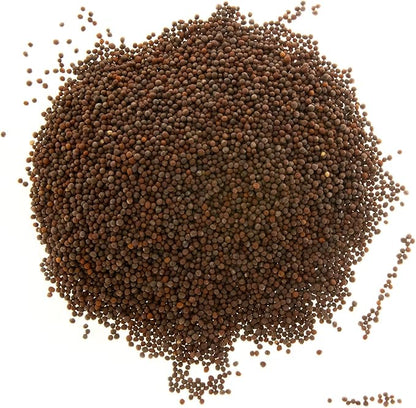 Broccoli Seeds for Sprouting & Microgreens | Calabrese Variety | Non GMO & Heirloom Seeds | Bulk 1 LB Resealable Bag | Rainbow Heirloom Seed Co.