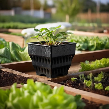 Seed Starter Pots with Tray, 8 Cell Reusable Square Nursery Pots for Seedlings with Drainage Holes, Indoor Outdoor Plastic Gardening Containers for Herbs, Flowers & Vegetables (Black)