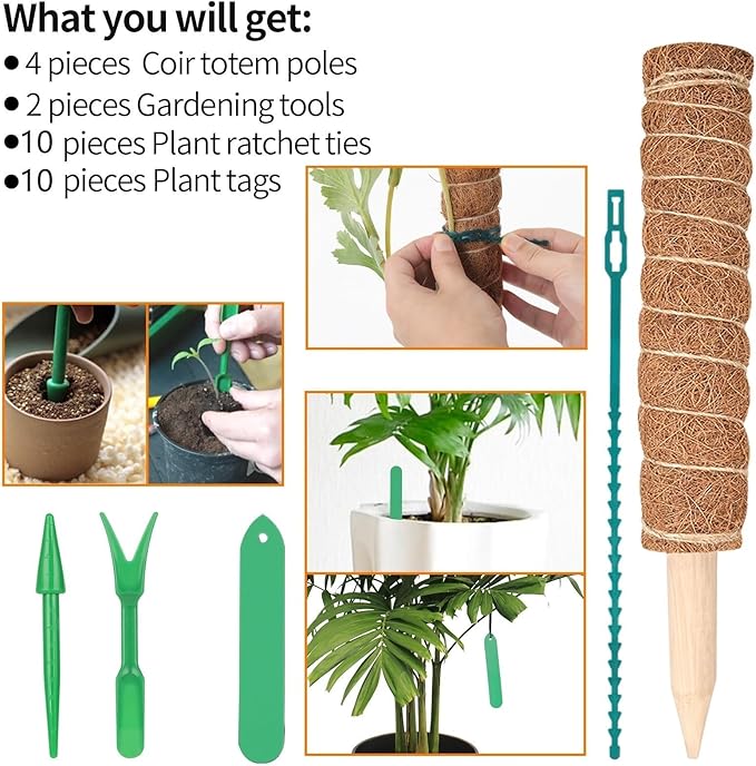 Kikhope Moss Pole Monstera Plants Support,4 Pack 15.7 Inch Coir Totem Poles, Plant Support Stakes, Plant Sticks, Coir Moss Stick for Indoor Potted Plants Train Creeper Plants Grow Upwards