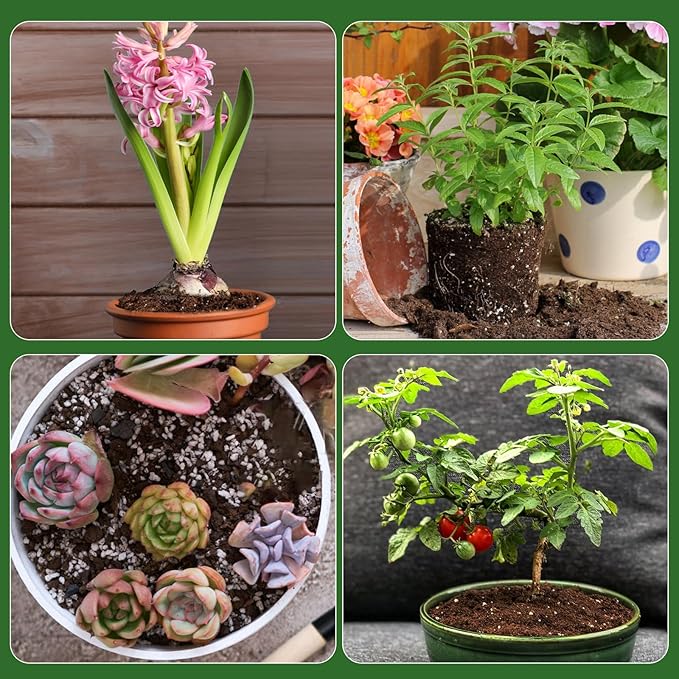 Organic Seed Starter Premium Potting Soil Mix 4qt, All Natural Seed Starter Mix for Fast Germination and Vigorous Seedlings with Strong Root Systems