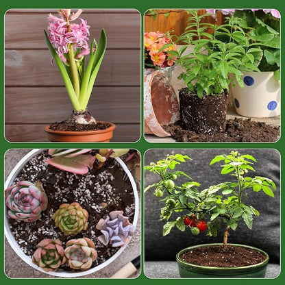 Organic Seed Starter Premium Potting Soil Mix 4qt, All Natural Seed Starter Mix for Fast Germination and Vigorous Seedlings with Strong Root Systems