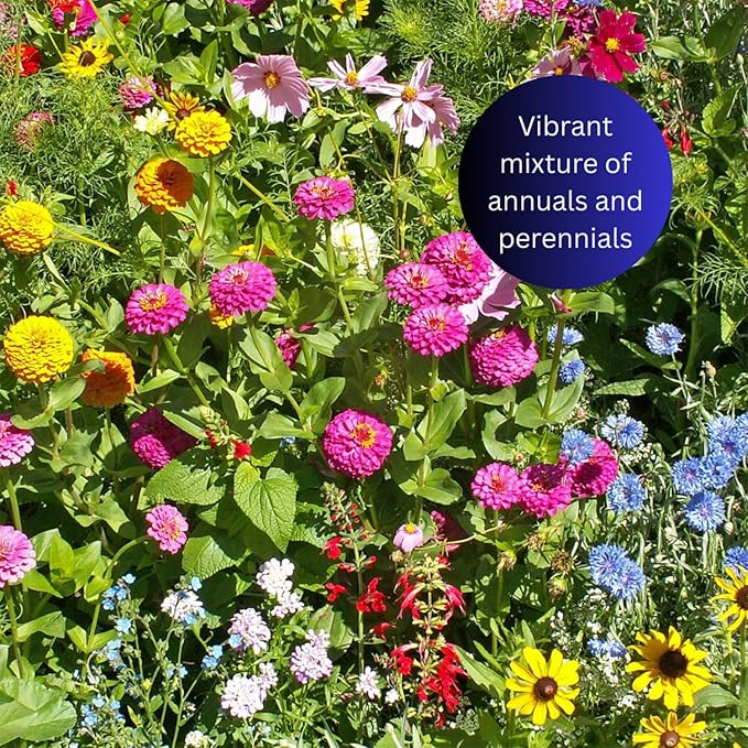 Earth Science Butterfly & Hummingbird Wildflower Seed Blend - 4oz - Premium Flower Seeds to Attract Bees, Butterflies, Hummingbirds & Native Pollinators - Non GMO