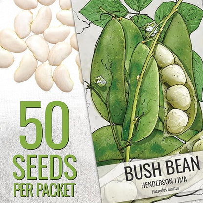 Seed Needs Lima Bean Seeds for Planting Henderson Lima Beans - Non-GMO Heirloom & Untreated Vegetable Seed to Plant a Homesteader Outdoor Veggie Garden