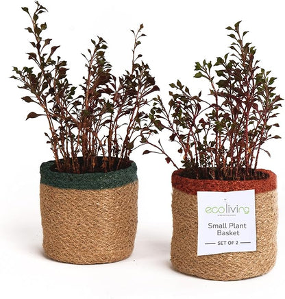 Jute Planter Basket-Woven Jute Rope Covers for Decorating Indoor/Outdoor Succulents, Small Plant Pots-Set of 2-Multi-Purpose Storage Bins 4.5 in - Modern Style Décor - Red, Green & Natural