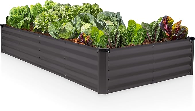 Plant & Plot Galvanized Raised Garden Beds Outdoor // 6×3×1 ft Planter Raised Beds for Gardening, Vegetables, Flowers // Large Metal Garden Box // Patented Tool-Free Design (Dark Gray)