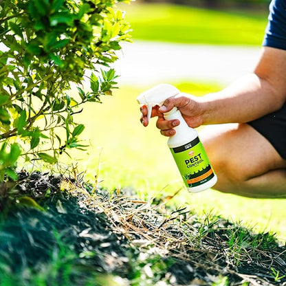 Nature's Dome Eco-Friendly Pest Control Spray – Ant, Roach, Spider, Fly, Flea and Insect Control with Natural Essential Oils – Fast-Acting, Child & Pet Safe for Indoor & Outdoor Use (32 OZ)