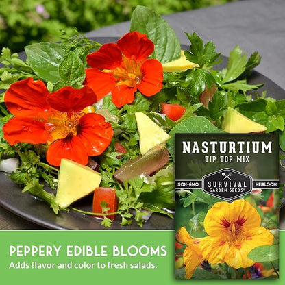 Nasturtium Seeds for Planting Outdoors – Tip Top Mix Heirloom Variety of Edible Flowers & Companion Plants, Non-GMO Seeds for Home Gardens - Survival Garden Seeds (2 Packs)