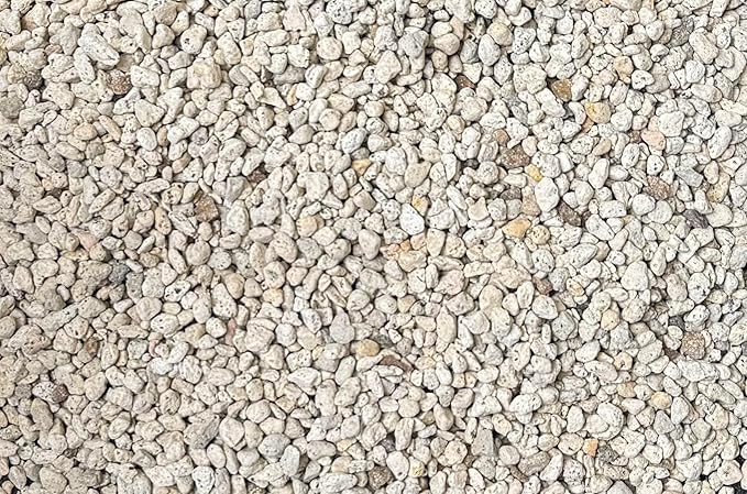 Cali-Bon Japanese 3 Gal. 3/16" Small Grain Horticultural Pumice for Cactus & Succulent, Bonsai Tree Soil Mix (3Gal. Pumice S KOB)