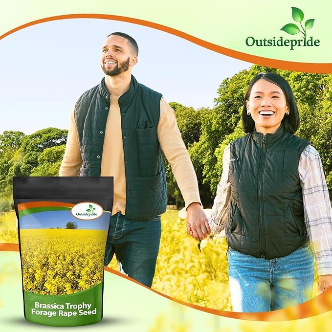 Outsidepride Trophy Forage Rape Seed - 1 Lb Heat, Cold & Drought-Tolerant Brassica Food Plot Seed, Ideal for for Deer & Livestock Grazing, Fall Planting, Soil Improvement, & Erosion Control
