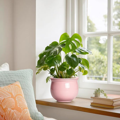 African Violet Pots, 6 Inch Ceramic Easy Self Watering Pots with Absorbent Inner Pot, Round Ceramic Planter for Indoor Plants, Small Flower Pot, Home Decor, Gifts for Plant Lovers, Pink