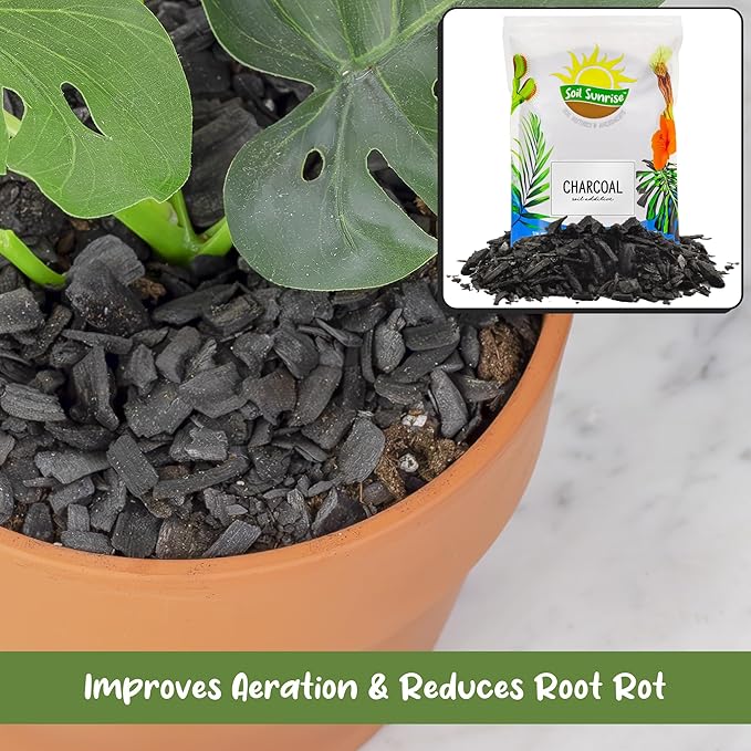 Soil Sunrise Horticultural Charcoal for Indoor Plants (8 Quarts) Hardwood Soil Additive for Orchids, Terrariums, and Gardening