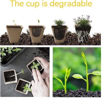 240 Cells Seed Starter Tray 24 Packs Biodegradable Peat Pots Germination Trays Organic Seed Starting Trays kit with 24 Labels 2 Transplant Tools