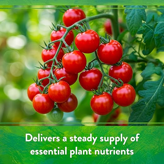 Down To Earth All Natural Fertilizers Organic All Purpose Tomato & Vegetable Mix - Plant Food for Tomatoes, Peppers, Herbs and Flowers 4-6-2, 1 lb
