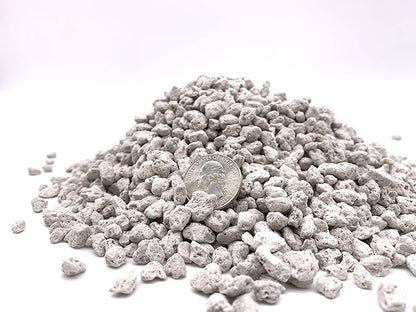 Pumice for Bonsai, Succulent, Cactus, Alocasia, Monstera, and Tropical Aroids | 20 Quarts Bag | 1/4” Particle Size | The Bonsai Supply