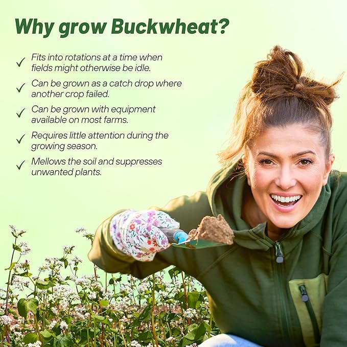 Outsidepride Buckwheat Seeds - 40lbs Annual, Fast-Growing, Easy to Grow Buckwheat Cover Crop Seeds for Green Manure, Bee Pasture & Pollinators, Wildlife Habitat, Soil Improvement, and Erosion Control