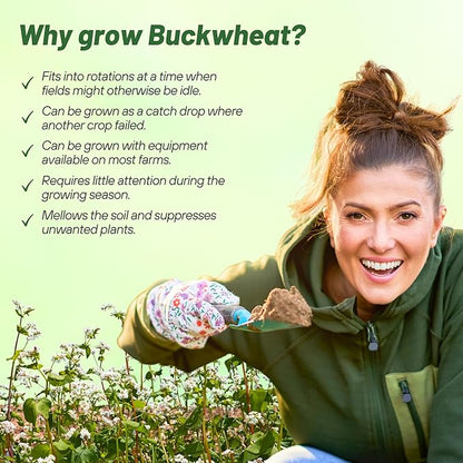 Outsidepride Buckwheat Seeds - 40lbs Annual, Fast-Growing, Easy to Grow Buckwheat Cover Crop Seeds for Green Manure, Bee Pasture & Pollinators, Wildlife Habitat, Soil Improvement, and Erosion Control
