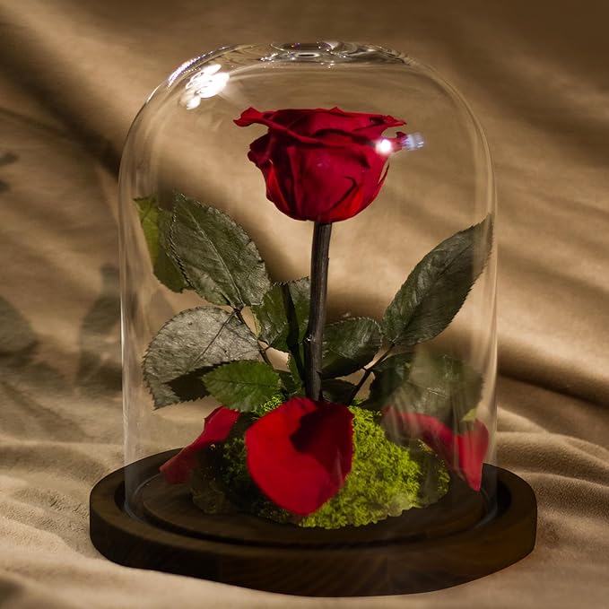 Glass Dome with Base for Display, Wooden Cloche Bell Jars 5.9" x 7.87" Case Cover Large Terrarium Cloches Pocket for Watch Flower Small Plastic Ornament Candle Plant Decorative Home Party Wedding Decor