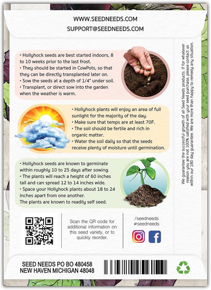Seed Needs, Black Hollyhock Seeds - 100 Heirloom Seeds for Planting Alcea rosea - Great for Gothic Gardens, Open Pollinated Biennial That Attracts Pollinators (2 Packs)