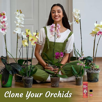 Keiki Cloning Paste Special Cytokinin Formula Gives a New Baby Orchid (Keiki) in Weeks-Can Be Used on All Kinds of Orchids and Also House Plants (1 Pack)