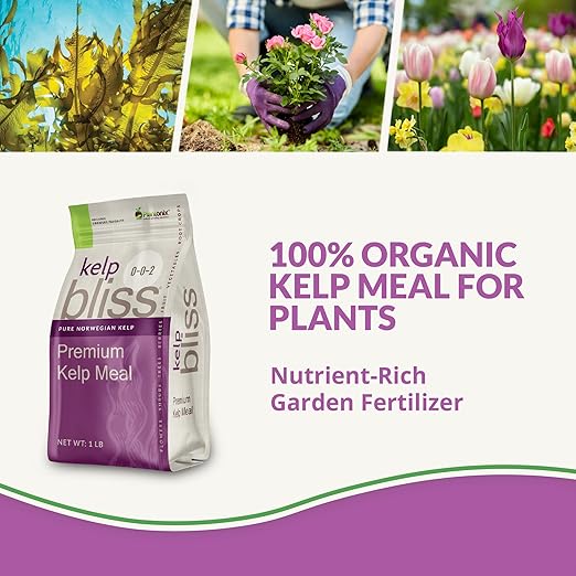 Kelp Bliss Fertilizer (1lb) - Kelp Meal Organic Fertilizer - Kelp Fertilizer for Plants - Plant Fertilizer & Garden Fertilizer - Organic Kelp Meal for Potting Soil, Garden Soil, Vegetables, & Lawns