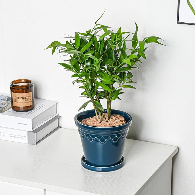 6.3 Inch Ceramic Planter, Plant Pot with Drainage Hole and Saucer, Decorative Glaze Flower Pot for Indoor Plants (Capri Blue)