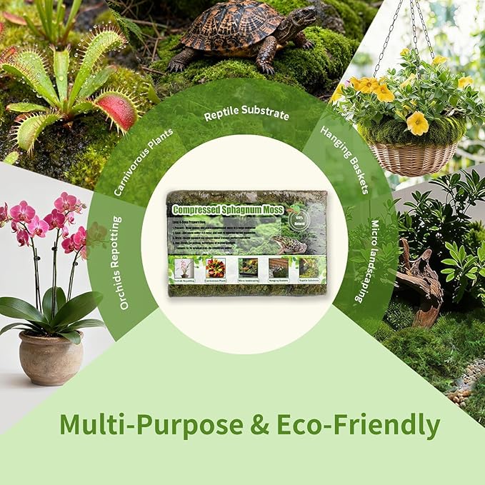 Compressed Sphagnum Moss for Plants & Reptiles (3pc)– Dried Peat Moss, Moisture-Retentive for Indoor Plants, Orchids, Terrariums, Reptile Bedding (100% Natural, Reptile-Safe