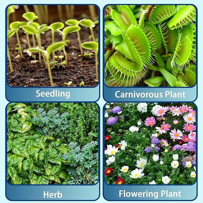 Sphagnum Peat Moss for Plants 4qt, Organic Garden Growing Soil Amendment and Media for Flowers, Vegetables, Herbs, Orchid, Indoor Houseplant