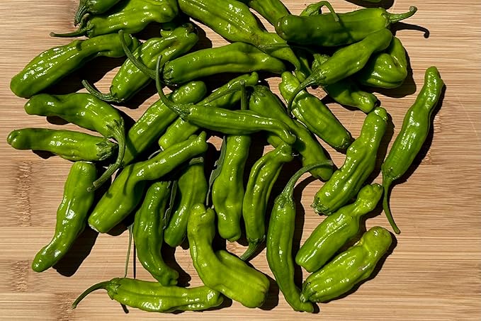 Plant Good Seed Organic Shishito Pepper Seeds - Pack of 30, Heirloom Seeds for Planting Vegetables - Gardening Supplies, Fruit, Chili, Vegetable Garden - Non-GMO, Open Pollinated, from USA