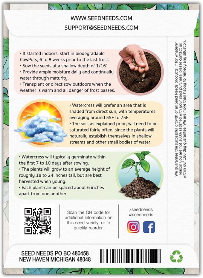 Seed Needs Watercress Seeds for Planting Nasturtium officinale - Non-GMO Heirloom & Untreated - Plant Your own Home Grown Culinary Herb Garden Indoors or Outdoors (5 Packs)