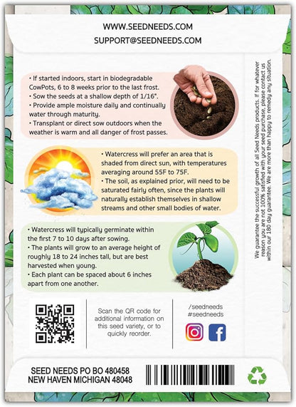 Seed Needs Watercress Seeds for Planting Nasturtium officinale - Non-GMO Heirloom & Untreated - Plant Your own Home Grown Culinary Herb Garden Indoors or Outdoors (5 Packs)