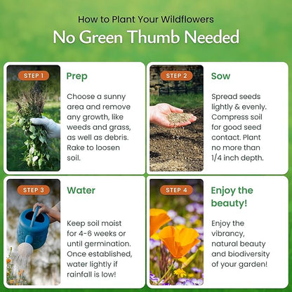 Created By Nature California Wildflower Seed Mix with Poppies, 22 Flower Varieties, 54,000+ Seeds