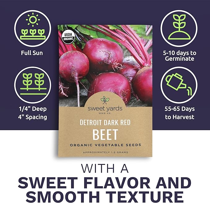Organic Beet Seeds ‘Detroit Dark Red’ – Two Seed Packets! – Over 308 Heirloom USDA Organic Non-GMO Seeds – Sweet Yards Seed Co.