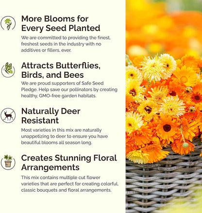 Eden Brothers Partial Shade Wildflower Mixed Seeds for Planting, 10 lb, 4,800,000+ Seeds with Sweet William, Foxglove | Attracts Pollinators, Plant in Spring or Fall, Zones 3, 4, 5, 6, 7, 8, 9, 10