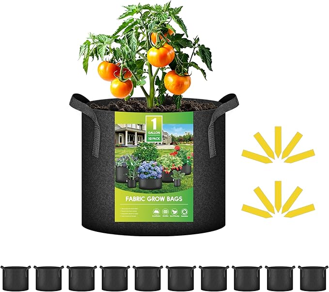 iPower 10 Pack 1 Gallon Grow Bags 300G Thickened Sturdy Plant Fabric Pots with 10 Labels and Handles, Aeration Garden Cloth Planter Bag for Outdoor Fruits, Vegetables and Flowers