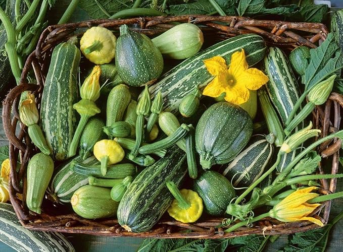 Seeds Vegetable Zucchini Tiger Striped Green - 30 Seeds