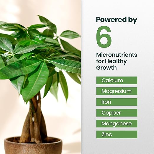 32oz Money Tree Plant Indoor Fertilizer - Makes 192 Gallons of Money Tree Fertilizer - Nutrient-Rich Plant Food with Macro & Micronutrients for Glossy Leaves, Strong Roots, and Lush, Tropical Growth